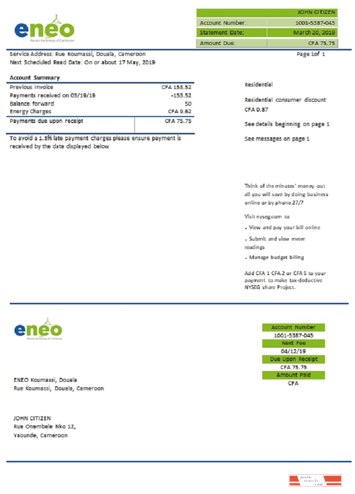 Cameroon ENEO electricity utility bill